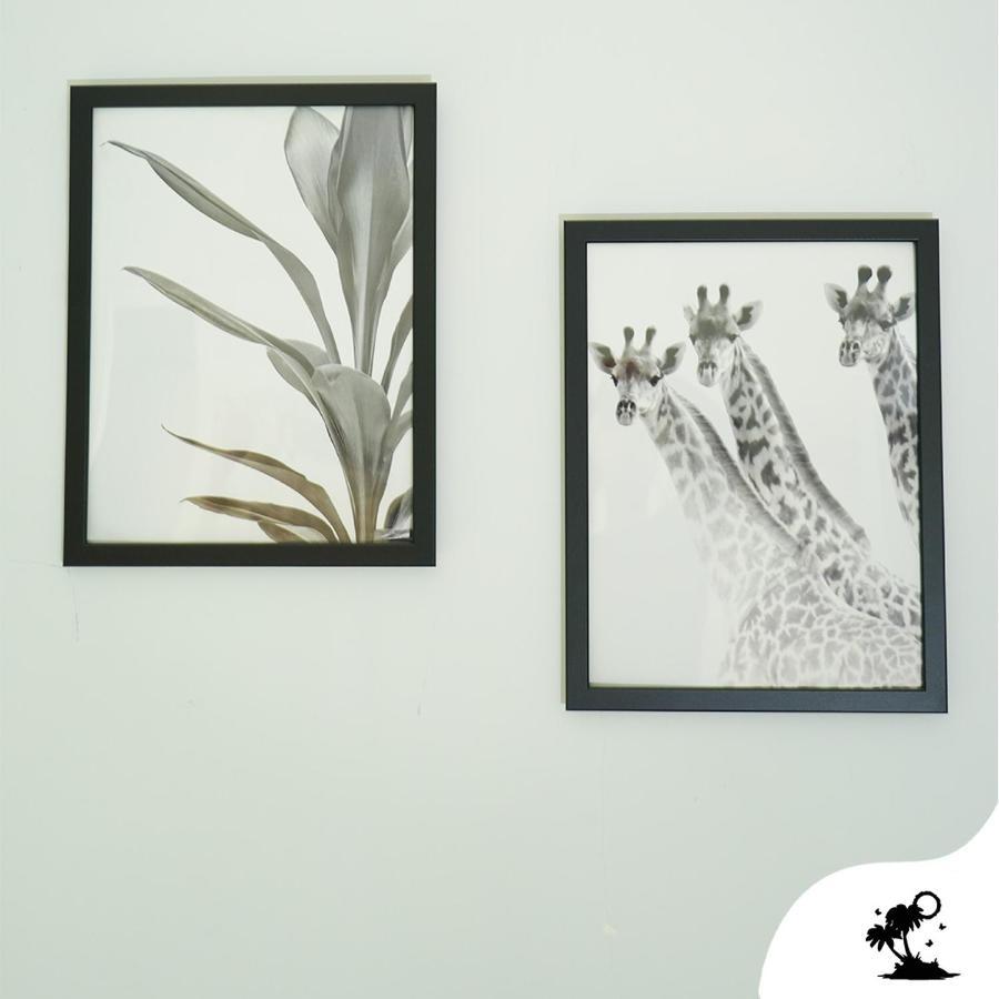 Sofia Rooms Naples Luaran gambar